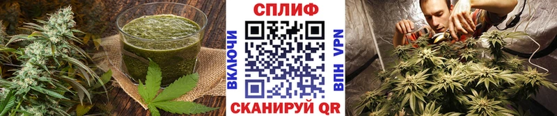 Cannafood конопля  Кировск 