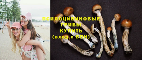 ГАЛЛЮЦИНОГЕННЫЕ ГРИБЫ Баксан