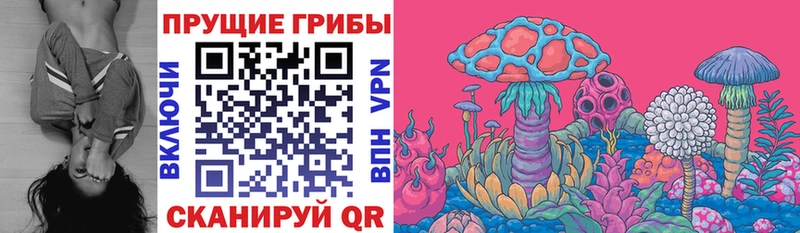 Галлюциногенные грибы мухоморы  как найти закладки  маркетплейс какой сайт  Кировск 